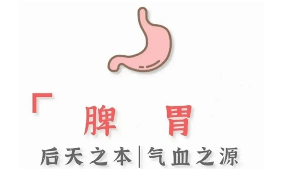 為(wèi)什麽春季脾胃容易虛弱